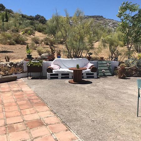 Cortijo Nuevo Alojamiento Rural Cuevas del Becerro Eksteriør bilde