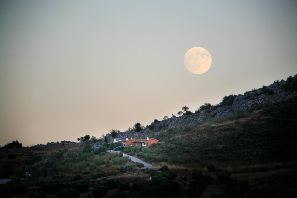 Cortijo Nuevo Alojamiento Rural Cuevas del Becerro Eksteriør bilde